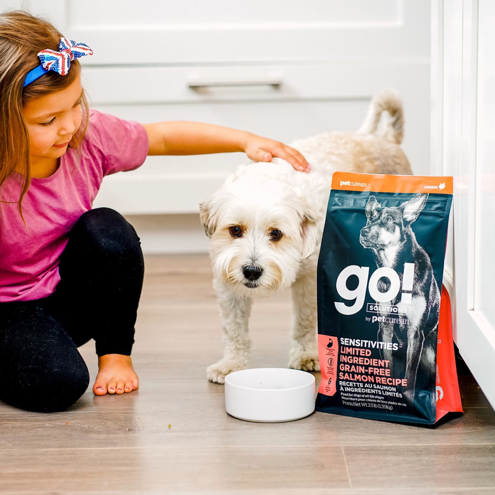 Go salmon sale dog food