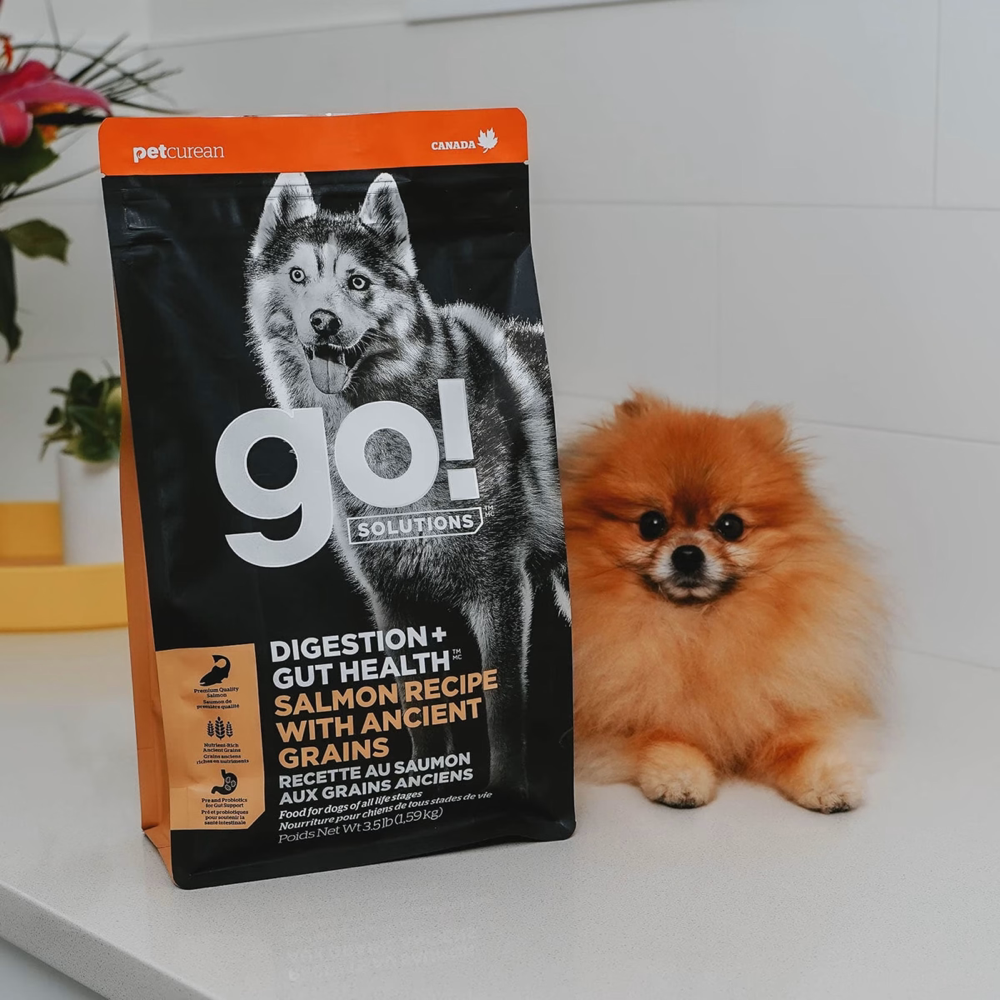 Go Solutions Dog Dry Food Digestion Gut Health Salmon Recipe