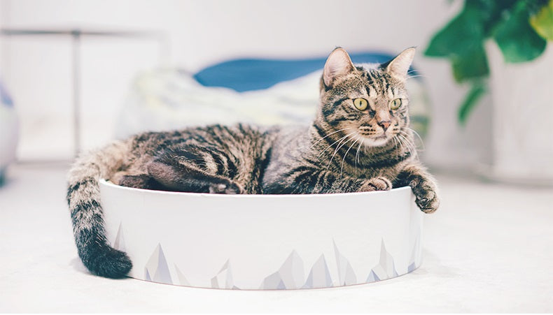 【PIDAN】"Valley" Cat Scratcher Bed