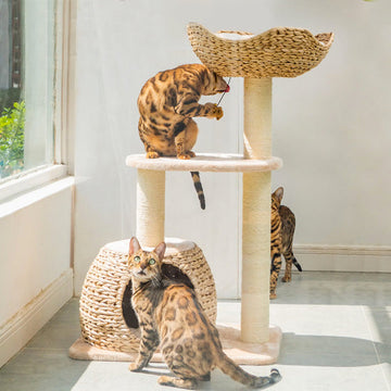 BBDD Rattan Cat Tree 98cm