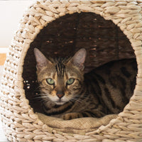 BBDD Rattan Cat Tree 98cm