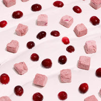 【Wagging Bum】ANYTIME YOGURT! Freeze-dried Yogurt with Cranberry