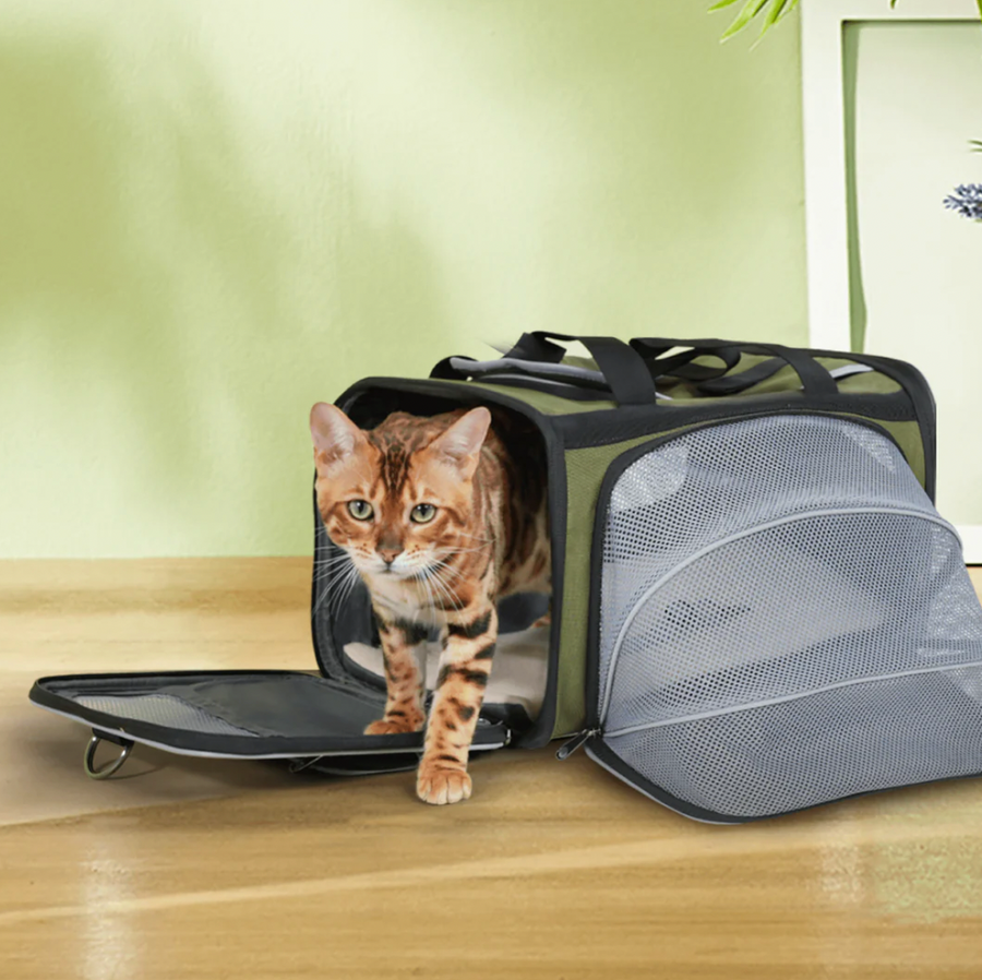 Pawaii Travel Pet Carrier