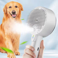 Sterilization Steamy Brush Comb with UV Light